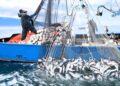 Tackling Illegal Fishing To Protect Nigeria’s Marine Economy, Food Security