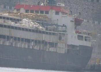 52-Year-Old Livestock Carrier Stranded Off Turkey With Nearly 3,000 Cattle Aboard
