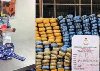 NDLEA Arrests Ex-Convict, 3 Others Over UK-Bound Cocaine Consignments