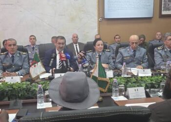 Algerian Customs Chief Pledges Collaboration with Nigeria Customs Service