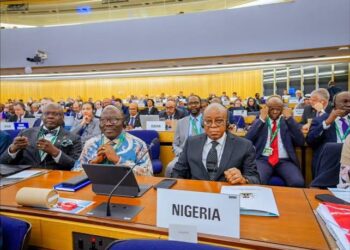 IMO Category C: Nigeria’s Return Means Nothing Without Genuine Reforms