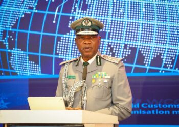 CG Adewale Adeniyi at World Customs Organization