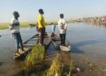 Yobe Boat Mishap: Death Toll Rises To 29