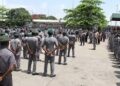 Customs Seize Vehicles, PMS, Donkey Products Worth N229m In Bauchi
