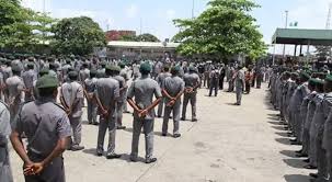 Customs Seize Vehicles, PMS, Donkey Products Worth N229m In Bauchi