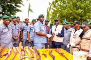 Ogun Customs Seizes 487 Illicit Items Worth N4.1b In 2025