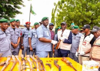 Ogun Customs Seizes 487 Illicit Items Worth N4.1b In 2025