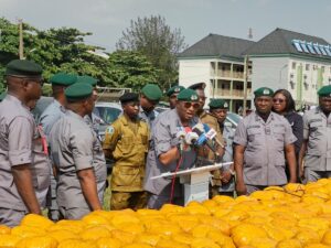 FOU Zone ‘A’ Arrest Female Suspect, Intercepts Rice, Cannabis, Cars Worth N3.3bn