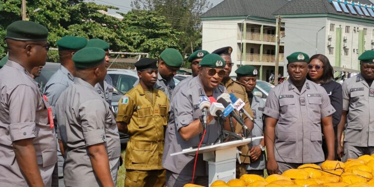 FOU Zone ‘A’ Arrest Female Suspect, Intercepts Rice, Cannabis, Cars Worth N3.3bn