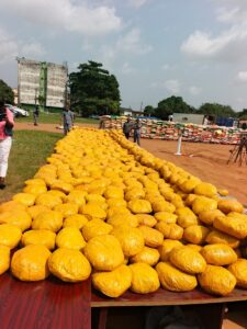 FOU Zone ‘A’ Arrest Female Suspect, Intercepts Rice, Cannabis, Cars Worth N3.3bn