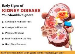 MONDAY INTERVIEW: Oyebamiji Did Not See The Media As Adversaries, But As Partners In Development”—Minister Oyetola