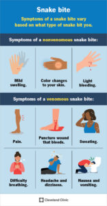 Snakebite Envenoming, Silent Killer In Nigeria – Expert Warns