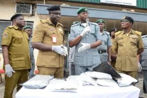 Customs Hands N4.7bn Cannabis Seizure To NDLEA In Tincan