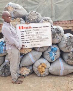 NDLEA Intercepts Brazil Returnee With Cocaine