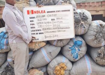 NDLEA Intercepts Brazil Returnee With Cocaine