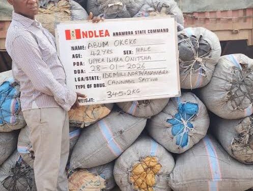 NDLEA Intercepts Brazil Returnee With Cocaine