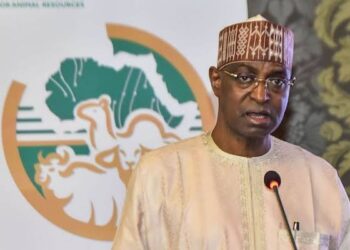 65% Of Livestock Consumption In Nigeria Imported – Minister