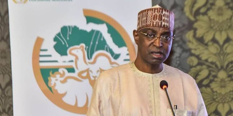 65% Of Livestock Consumption In Nigeria Imported – Minister