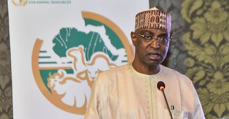 65% Of Livestock Consumption In Nigeria Imported – Minister