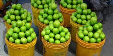 Sleep Deprivation Root Cause Of Many Disease – Says Physician