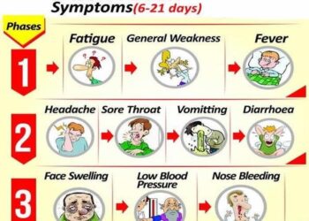 Nigeria Reports Higher Lassa Fever Death Rate