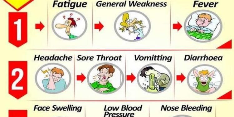 Nigeria Reports Higher Lassa Fever Death Rate