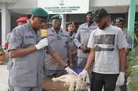 Customs Intercepts ₦116m Precious Metals, Deepens Security, Trade Collaboration in Kano