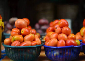 Tomato Farmers Predict Gradual Price Hike Post Ramadan