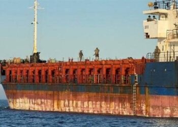 Sweden Arrests Crewmember After Boarding and Detaining Stateless Cargo Ship