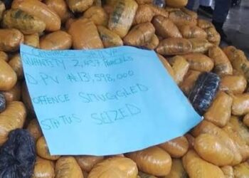 Customs Hand Over Cannabis Sativa Worth N131.6m To NDLEA In Ogun