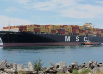 Iran Seizes Two MSC Boxships After Fresh Attacks In Strait Of Hormuz