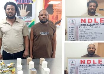 NDLEA Intercepts Cocaine, Arrests Kingpin In Lagos