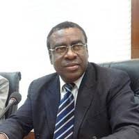 FG Import Policy To Ease AfCFTA Implementation — Don
