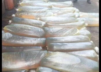 Army Recovers Stolen Crude Oil, Diesel Worth N250m