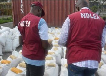 NDLEA Intercepts 98,354kg Worth ₦23 Billion Illicit Drugs, Arrests 10 at Seaports in Q1 2026   