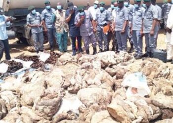 NCS Seizes Smuggled Donkey Skin, PMS Worth N98.3 Million In Adamawa