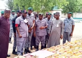 Customs Seizes N93m Worth Of Petrol In Adamawa
