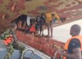 Stakeholders Raise Alarm Over Rising Stowaway Tactics as Navy Records Eight Arrests in Four Months   
