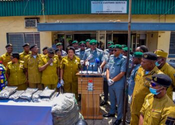 Customs, NDLEA Intercept N16.6bn Cannabis Shipment at Tin Can Port