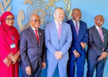 Nigeria Seeks Fair, Inclusive Path to Net-Zero Shipping at IMO Summit
