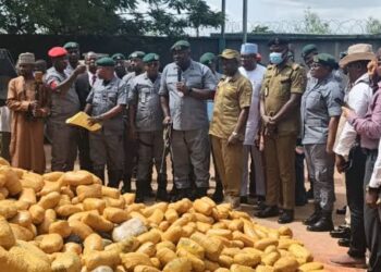 Customs Seizes 10,126 Parcels Of Cannabis In Ogun