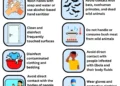 NCDC Places States On High Ebola Preparedness Alert Over Importation Risk