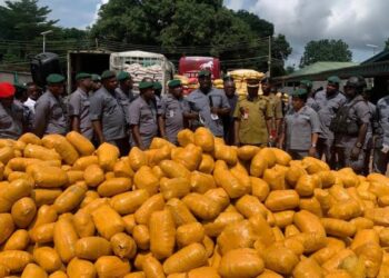 Customs Hands Over 6,981 Parcels, Sacks Of Marijuana To NDLEA In Ogun