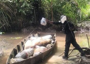Navy Intercepts 22,870 Litres Of Illegal Diesel In Rivers Operation