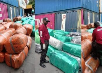 NDLEA Intercepts N12.3Bn  Illicit Drugs At Lagos Port