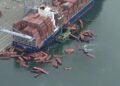 SHIPTALK: Shipping Accidents and Lost or Damaged Cargo
