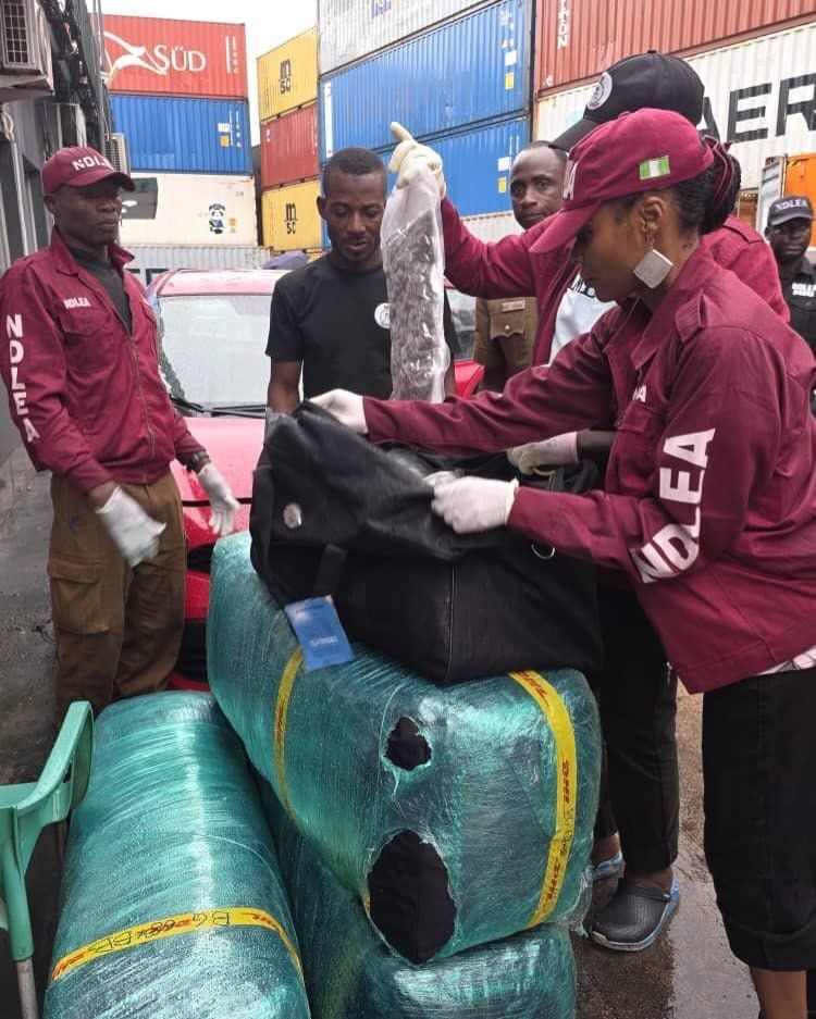 NDLEA Intercepts Illicit Drugs Worth N10.3bn At Lagos Port