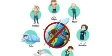 Billions Spent, Millions Still At Risk: Why Nigeria Remains World’s Malaria Capital