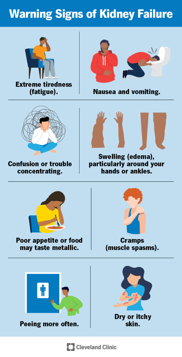 Take A Lot Of Fluid To Assist Your Kidneys Function Well --Experts