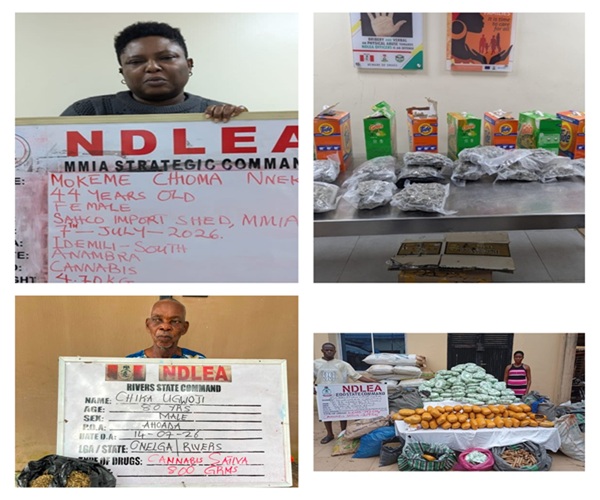 NDLEA Intercepts Kano-Bound Transnational Tramadol Shipments In Lagos